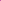 pinkpurple4_dot (1K)